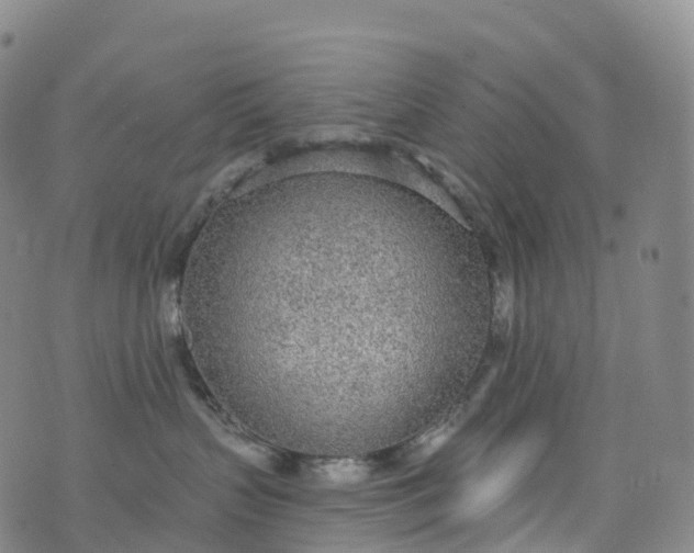 X0000076420383200610202226