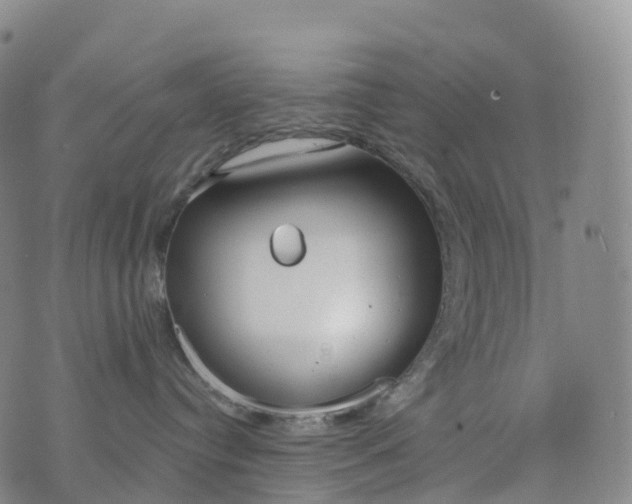 X0000076420384200610202226