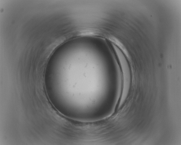 X0000076420385200610202225