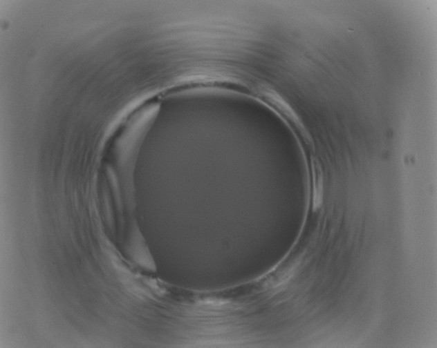 X0000076420387200610202225