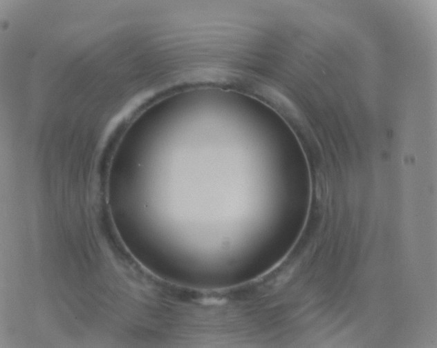 X0000076420388200610202225