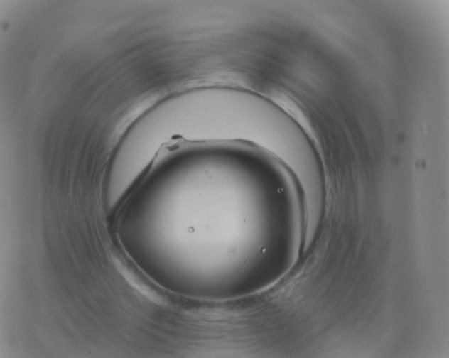 X0000076420389200610202225