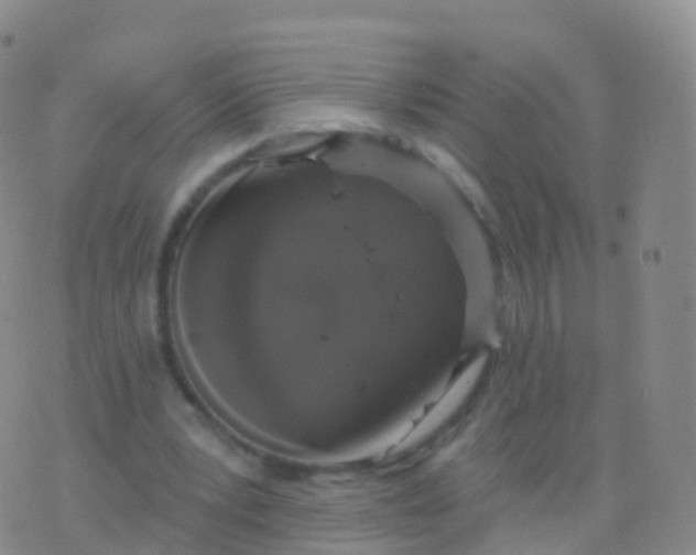 X0000076420391200610202225