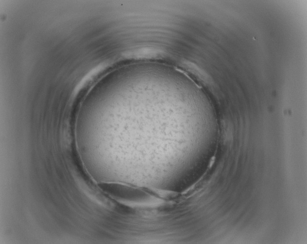 X0000076420392200610202225