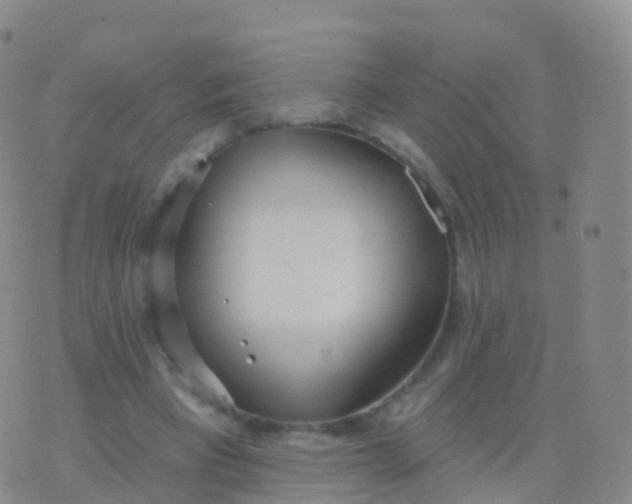 X0000076420393200610202225