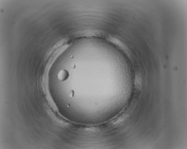 X0000076420394200610202225