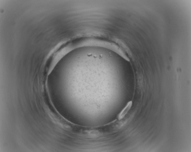 X0000076420395200610202225