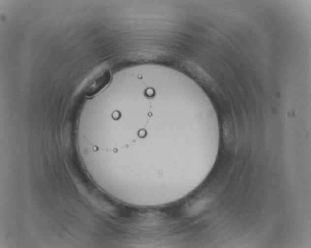 X0000076420396200610202225