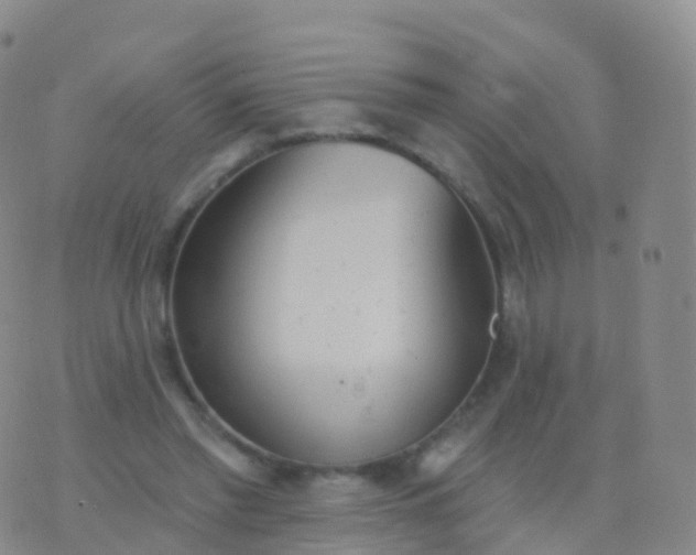 X0000076420397200610202225