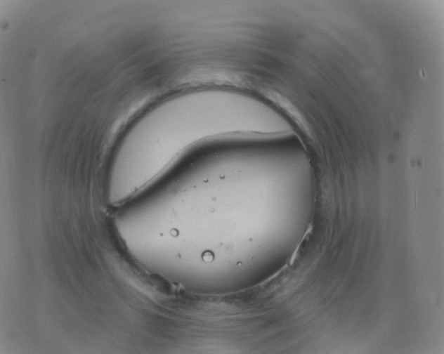 X0000076420399200610202225