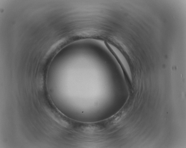 X0000076420400200610202225