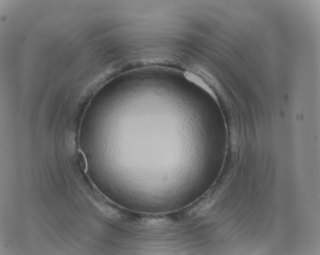 X0000076420401200610202225