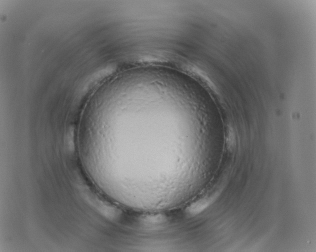 X0000076420402200610202225