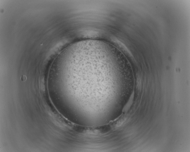 X0000076420403200610202225