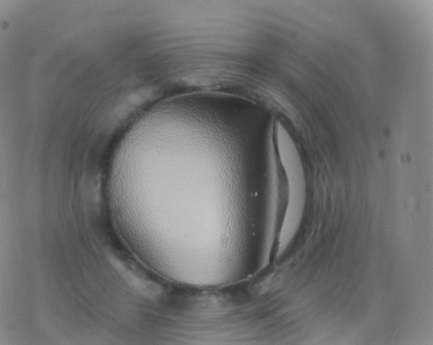 X0000076420404200610202225