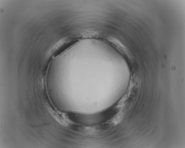 X0000076420405200610202225