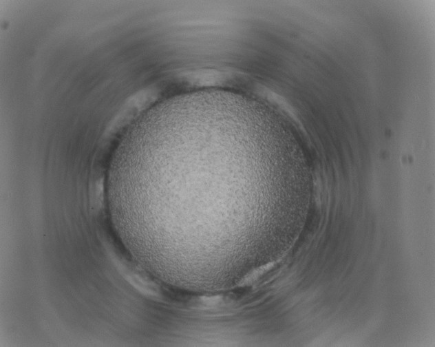 X0000076420406200610202225