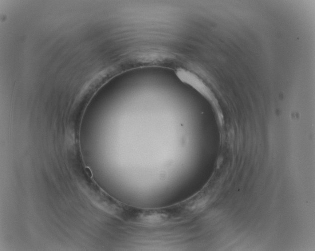 X0000076420407200610202225