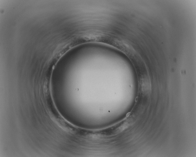 X0000076420408200610202225