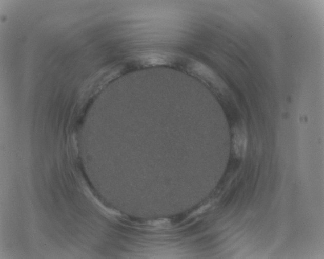 X0000076420410200610202225