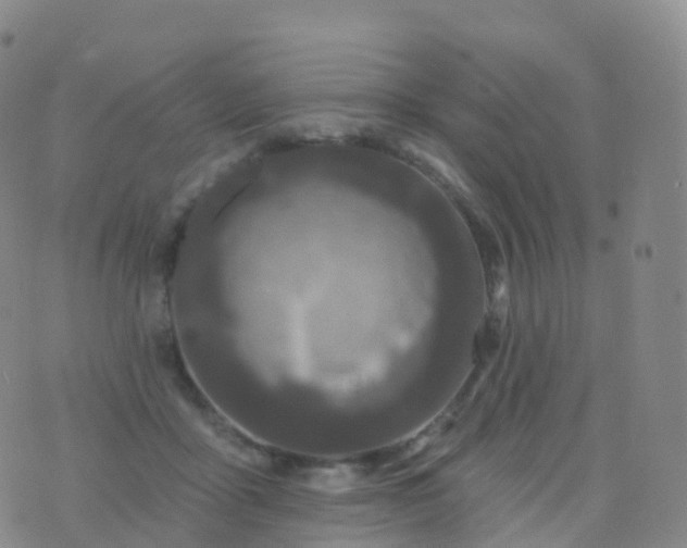 X0000076420411200610202225