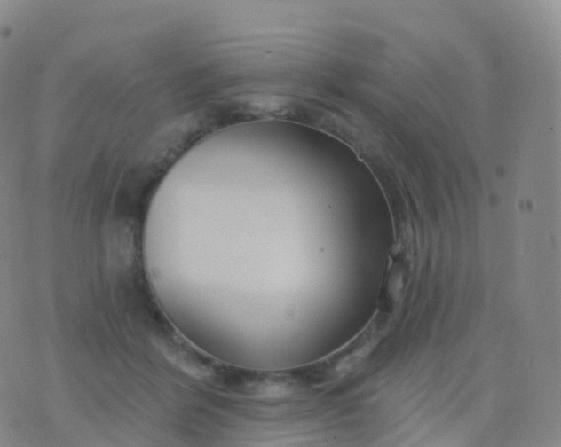 X0000076420412200610202225