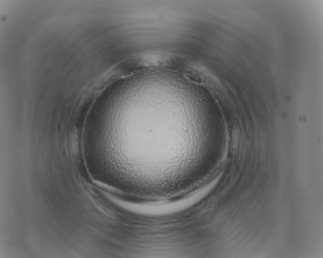 X0000076420413200610202225