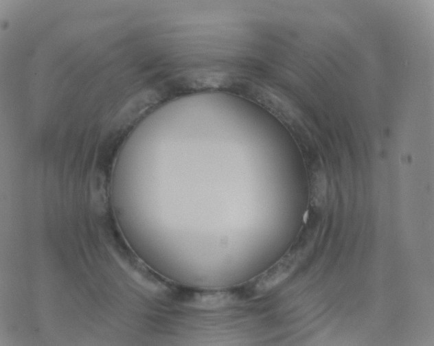 X0000076420414200610202225