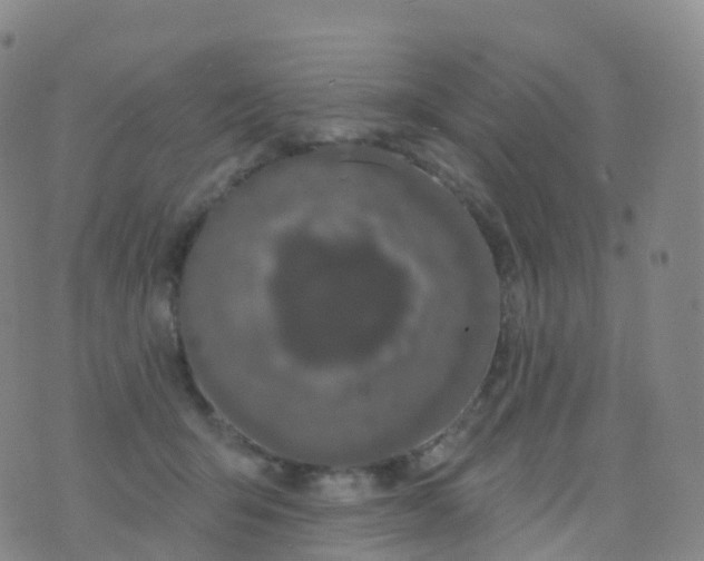 X0000076420415200610202225