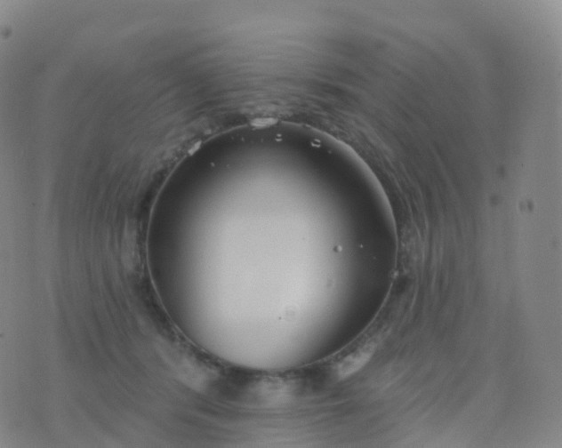 X0000076420416200610202225