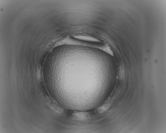 X0000076420417200610202225