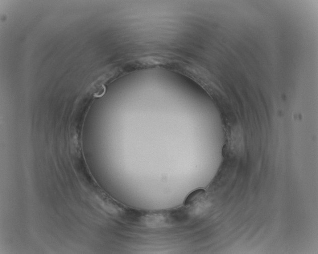 X0000076420418200610202225