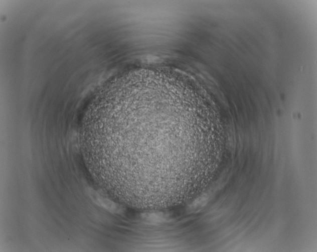 X0000076420419200610202225