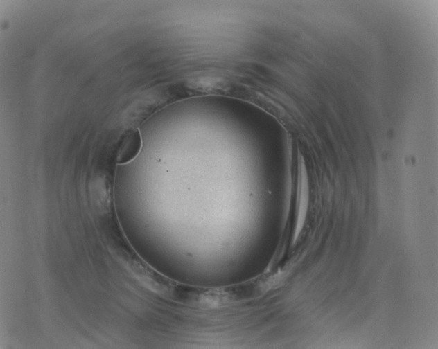 X0000076420420200610202225