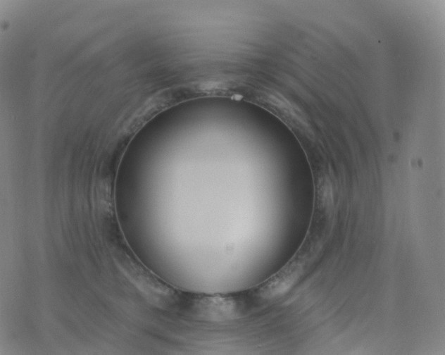 X0000076420421200610202225