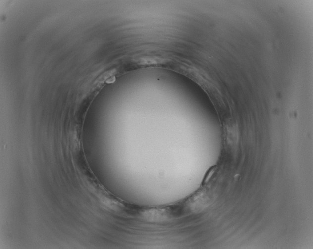 X0000076420422200610202225