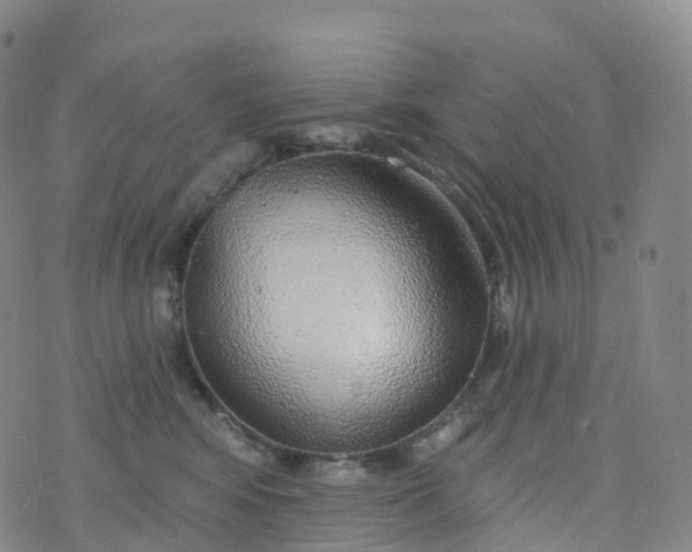 X0000076420424200610202225