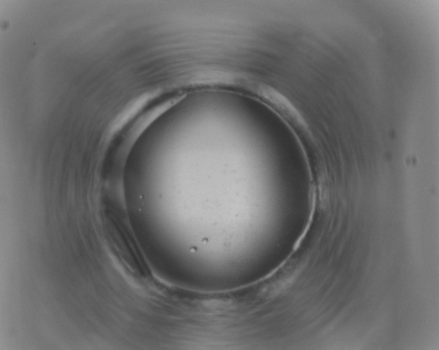 X0000076420436200610202224