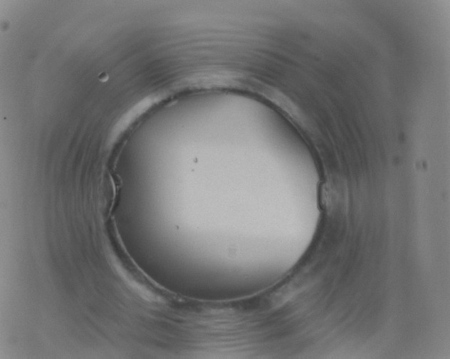 X0000076420438200610202224