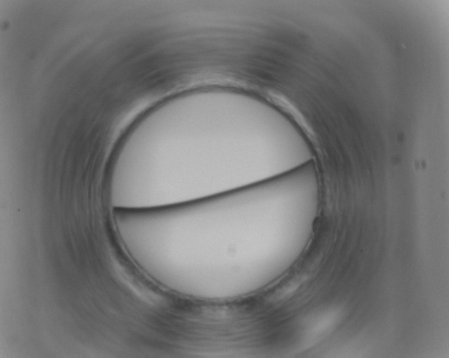 X0000076420439200610202224