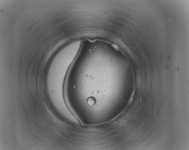 X0000076420444200610202224