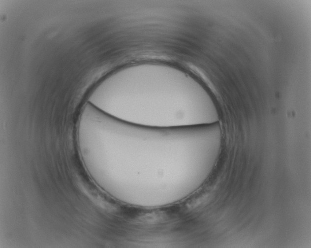 X0000076420447200610202224