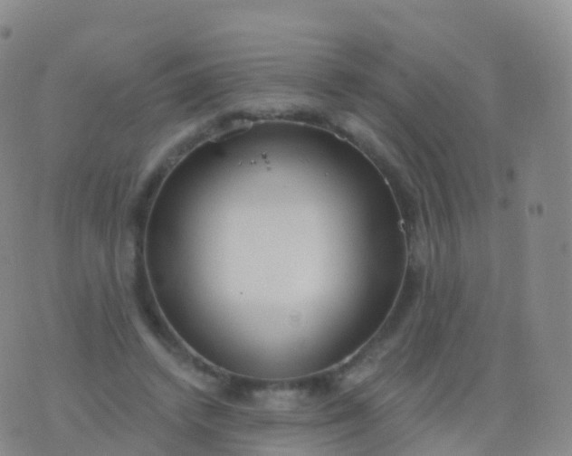 X0000076420448200610202224