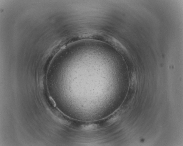 X0000076420452200610202224