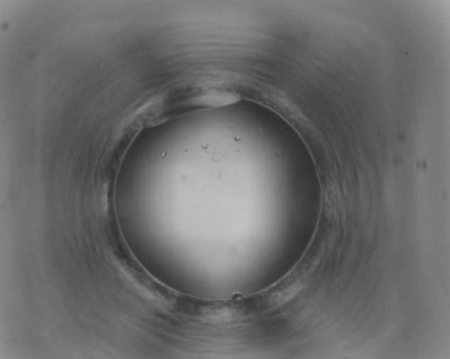 X0000076420454200610202224