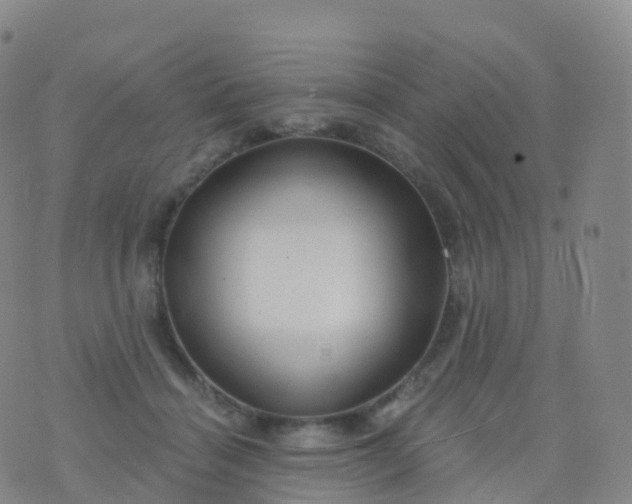 X0000076420460200610202224