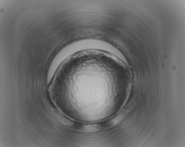 X0000076420461200610202224