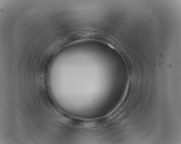 X0000076420462200610202224