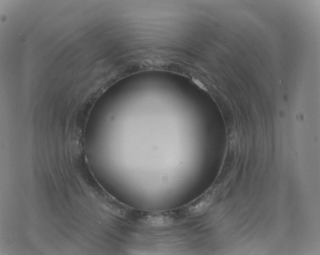 X0000076420464200610202224