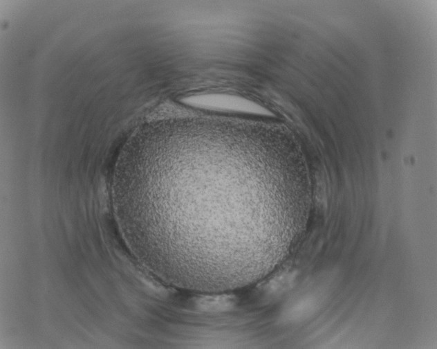 X0000076420465200610202224